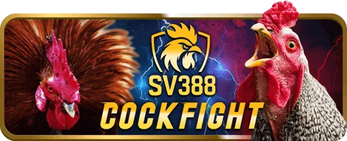 Cá cược thể thao tại 1xbit win với các trận đấu bóng đá trực tiếp