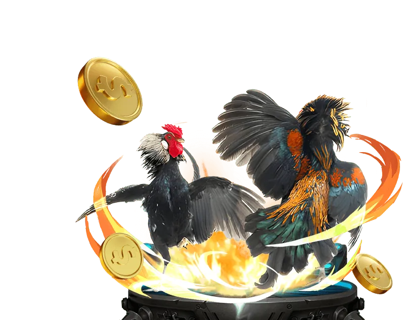 Tổng quan các chương trình khuyến mãi tại 1xbit Win